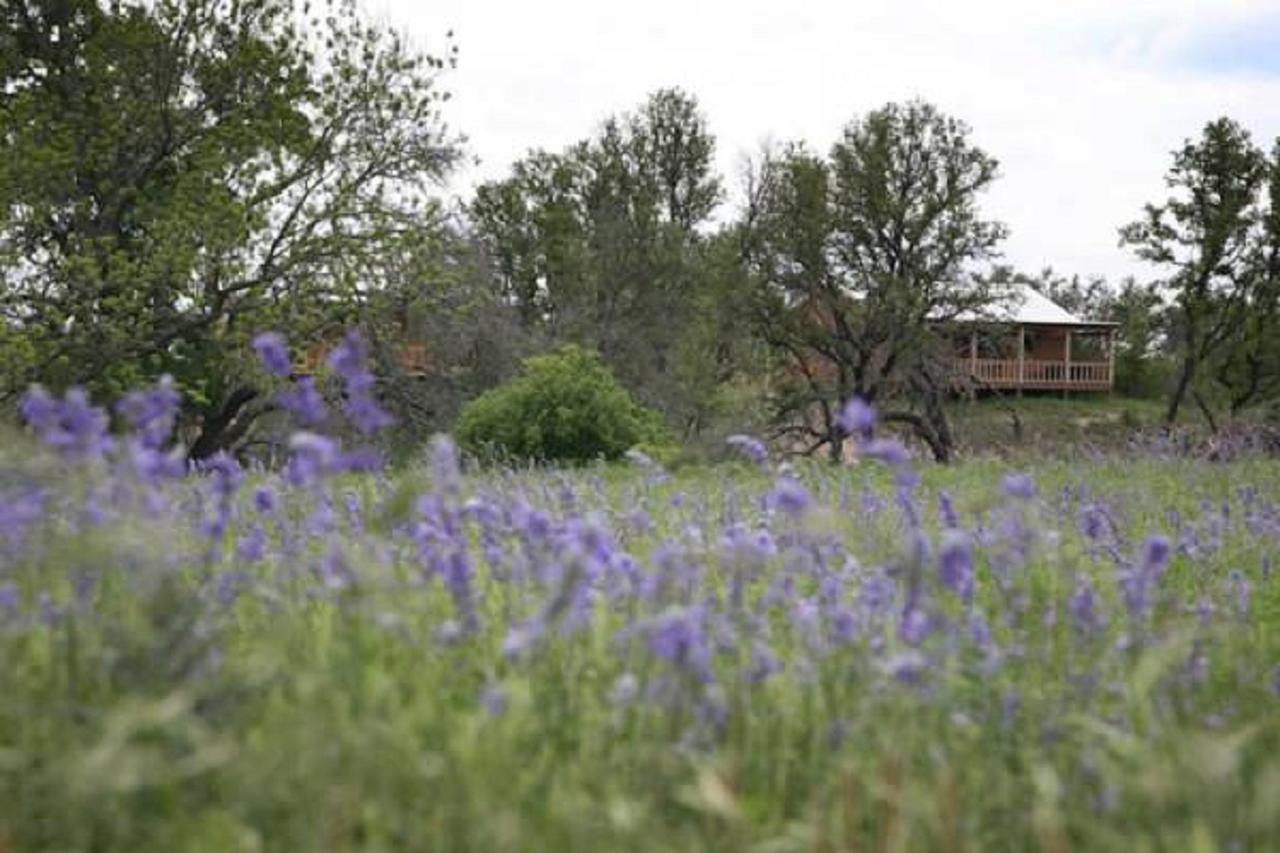 City On A Hill At Spring Creek フレデリックスバーグ エクステリア 写真