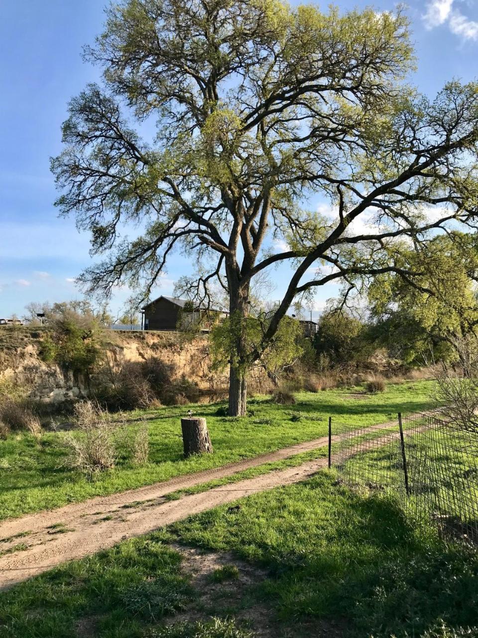 City On A Hill At Spring Creek フレデリックスバーグ エクステリア 写真